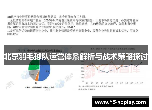 北京羽毛球队运营体系解析与战术策略探讨