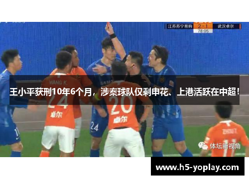 王小平获刑10年6个月，涉案球队仅剩申花、上港活跃在中超！